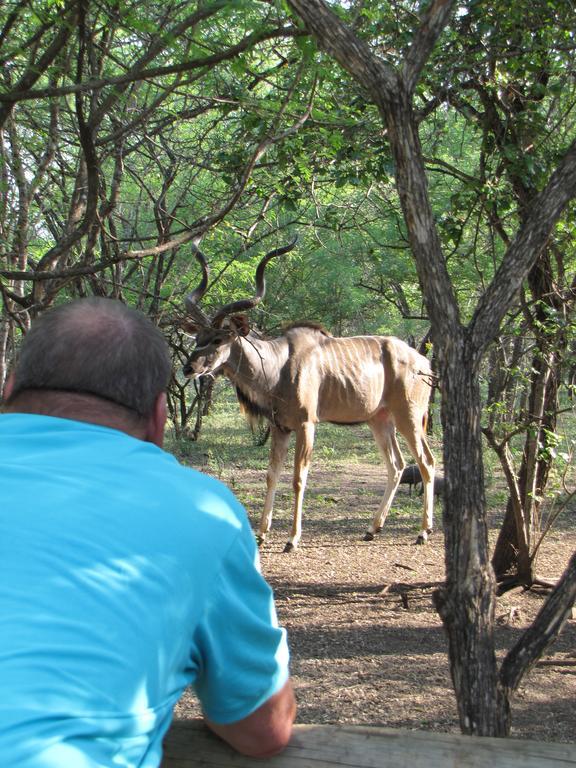 Serenity Du Bois Lodge Marloth Park Εξωτερικό φωτογραφία