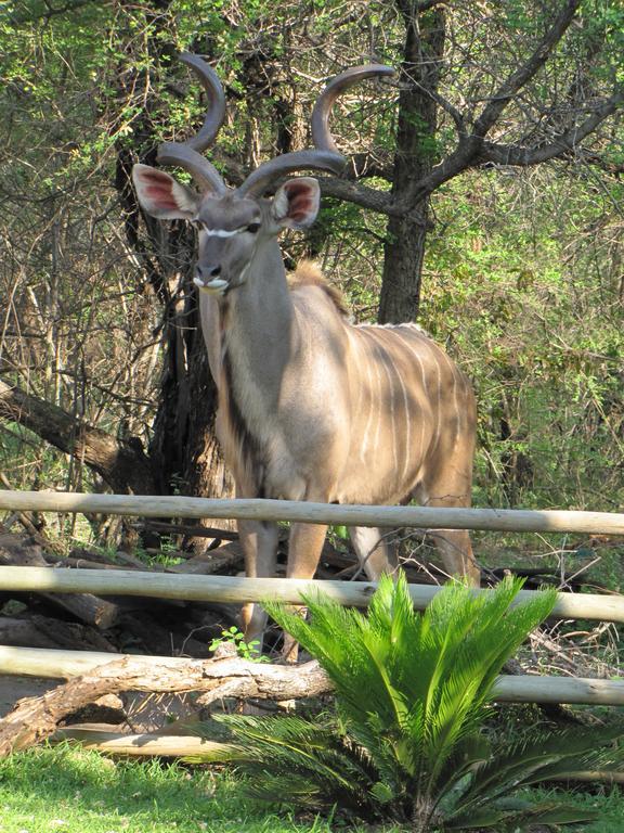 Serenity Du Bois Lodge Marloth Park Εξωτερικό φωτογραφία