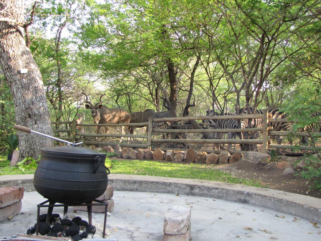 Serenity Du Bois Lodge Marloth Park Εξωτερικό φωτογραφία