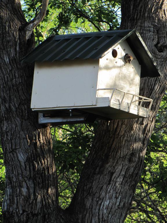 Serenity Du Bois Lodge Marloth Park Εξωτερικό φωτογραφία